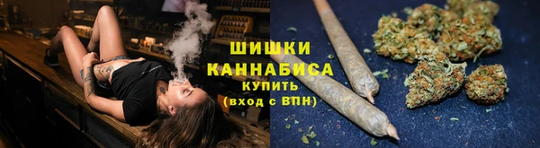 PSILOCYBIN Армянск