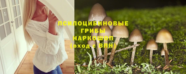 PSILOCYBIN Армянск