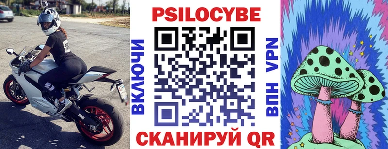 сколько стоит  Орлов  Псилоцибиновые грибы мицелий 